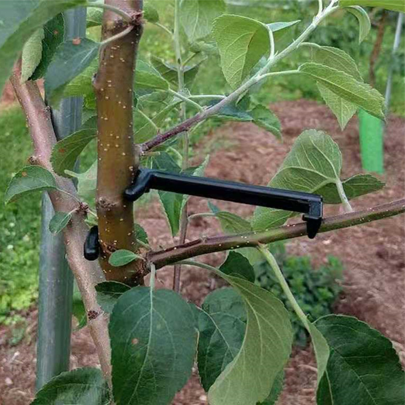 Meyve Ağacı Dalı Çektirme Bitk - Fruit Roll Up incelemesi ve fiyatı